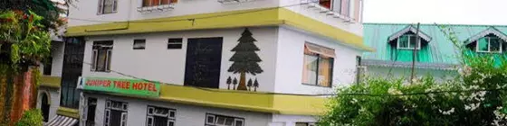 Juniper Tree Hotel | Sikkim - Gangtok