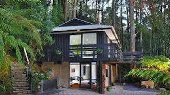 Misty Woods Retreat Olinda | Victoria - Melbourne (ve civarı) - Olinda