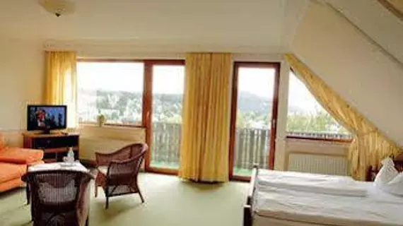 Hotel Schneider | Kuzey Ren-Westfalia - Hochsauerlandkreis - Winterberg