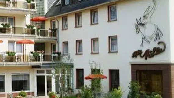 Hotel Alte Mühle | Rhineland-Palatinate - Bad Bertrich