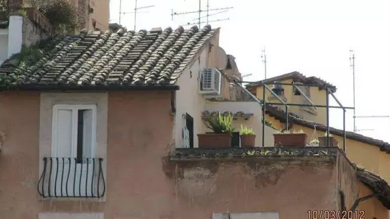 Terrace Cancelleria | Lazio - Roma (ve civarı) - Roma Kent Merkezi - Navona