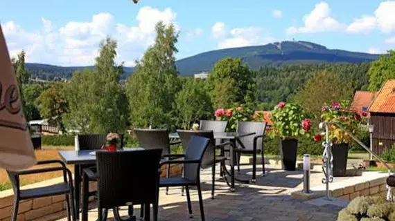 Hotel Brunnenbach | Aşağı Saksonya - Braunlage