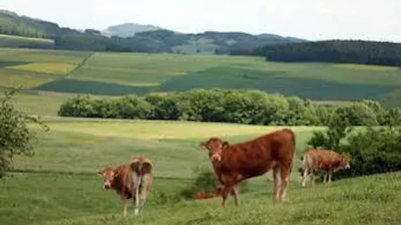 Lindner Ferienpark Nürburgring | Rhineland-Palatinate - Vulkaneifel - Drees