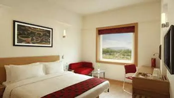 Red Fox Hotel Delhi Airport | Batı Delhi - Ulusal Eyalet Başkenti Delhi - Delhi (ve civarı) - Yeni Delhi - Güney Batı