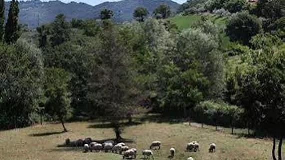 Agriturismo il Castello | Umbria - Perugia (vilayet) - Assisi