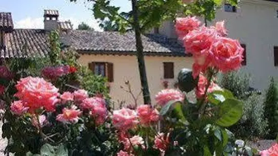 Agriturismo Sasso Rosso | Umbria - Perugia (vilayet) - Assisi