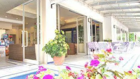 Hotel Vienna | Rimini (vilayet) - Bellaria-Igea Marina