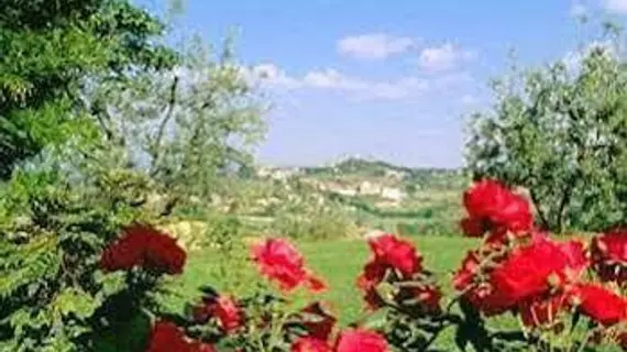 Poggetto di Montese | Toskana - Siena (vilayet) - San Gimignano - Val d'Elsa