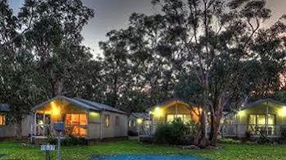 BIG4 Koala Shores Holiday Park | New South Wales - Port Stephens (ve civarı) - Lemon Tree Passage