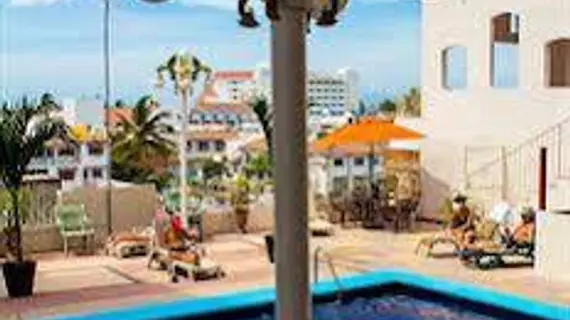 Hotel Paloma del Mar | Nayarit - Bahía de Banderas - Puerto Vallarta (ve civarı) - Puerto Vallarta - Gringo Gulch - Puerto Vallarta Şehir Merkezi