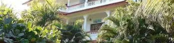 White Feather Guest House | Goa - Kuzey Goa - Morjim