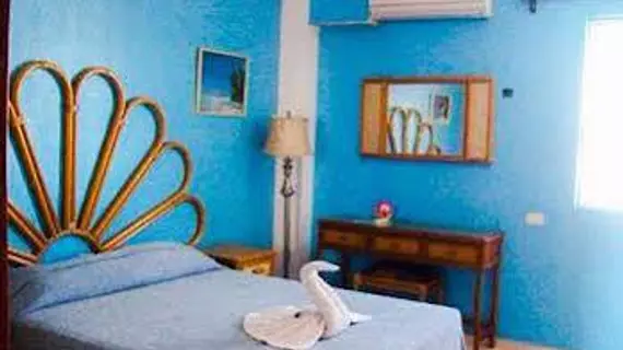 Hotel Francis Arlene | Quintana Roo - Benito Juárez - Cancun (ve civarı) - Isla Mujeres