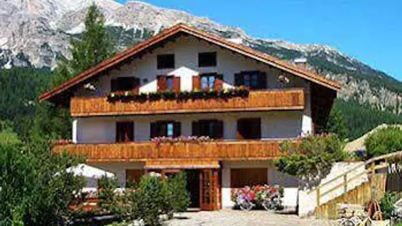 Hotel Menardi | Veneto - Belluno (vilayet) - Cortina d'Ampezzo