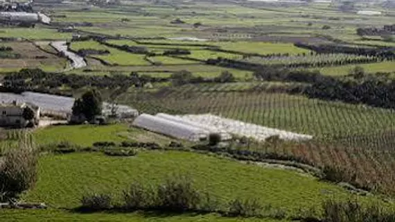 Point de vue | Malta - Mdina