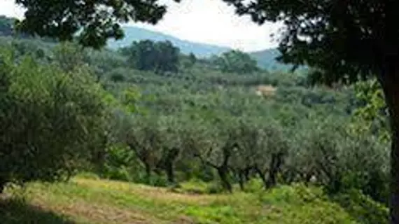 Agriturismo Sasso Rosso | Umbria - Perugia (vilayet) - Assisi