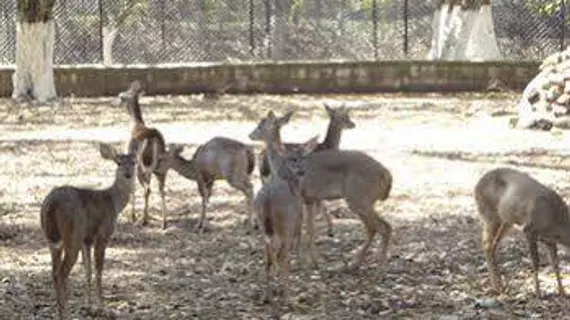 Club y Centro Ecoturistico San Martin | Francisco Morazan (bölge) - San Ignacio