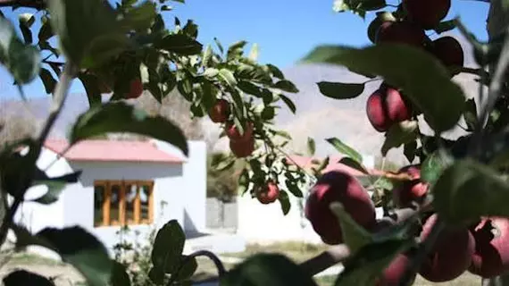 Himalayan Eco Resort | Cammu ve Keşmir - Leh