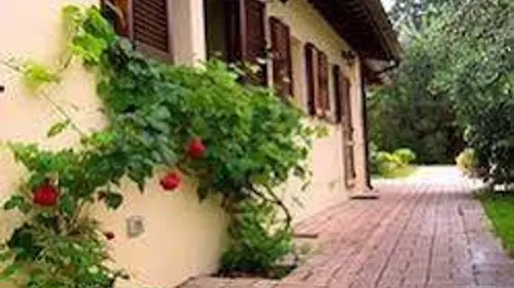 Agriturismo Sasso Rosso | Umbria - Perugia (vilayet) - Assisi