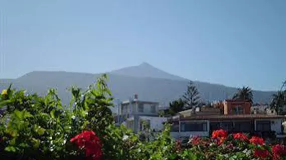 Apartamentos Chinyero | Kanarya Adaları - Santa Cruz de Tenerife - Puerto de la Cruz