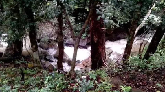 Three Hills Coorg | Karnataka - Kodagu - Madikeri