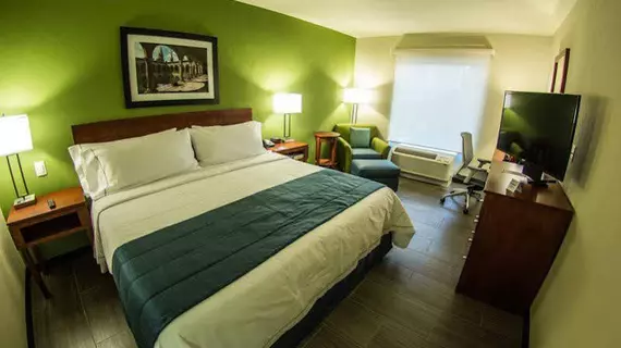 Holiday Inn Express & Suites Guadalajara Aeropuerto | Jalisco - Guadalajara (ve civarı) - Tlaquepaque