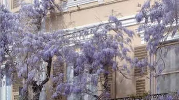 Albergo Il Glicine | Liguria - Savona (il) - Noli