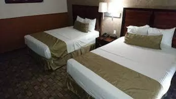 Comfort Inn Chihuahua | Chihuahua - Chihuahua