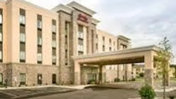 Hampton Inn and Suites Hudson | Wisconsin - Hudson (ve civarı) - Hudson