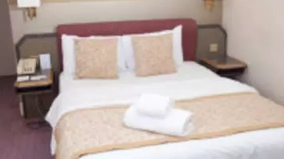 Copthorne Hotel Birmingham | West Midlands (ilçe) - Birmingham (ve civarı) - Birmingham