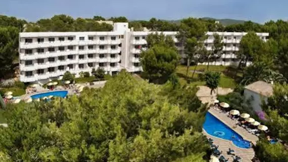 Hotel Paguera Park | Balearic Adaları - Mayorka Adası - Calvia - Peguera