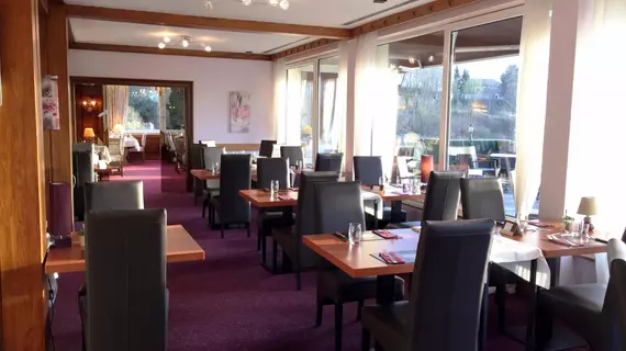 Hotel Restaurant Aux Trois Roses | Grand Est - Bas-Rhin (bölge) - Niederbronn-les-Bains (ve civarı) - La Petite-Pierre