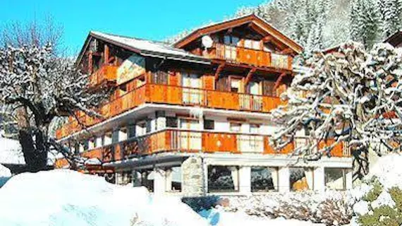 Chalet Hotel Alpina | Auvergne-Rhone-Alpes - Haute-Savoie (bölge) - Morzine