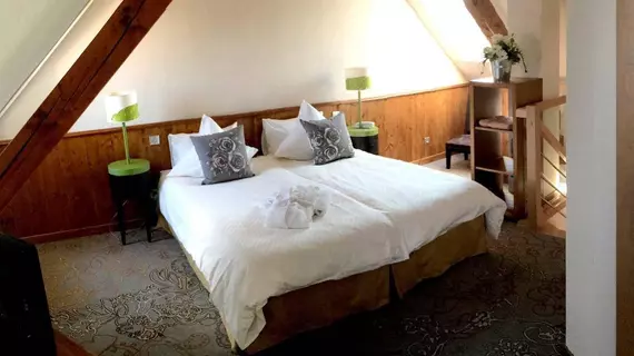 Hotel Au Lion d'Or | Grand Est - Bas-Rhin (bölge) - Niederbronn-les-Bains (ve civarı) - La Petite-Pierre