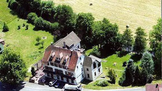 Logis Hotel Des Vosges | Grand Est - Haut-Rhin (bölge) - Sewen