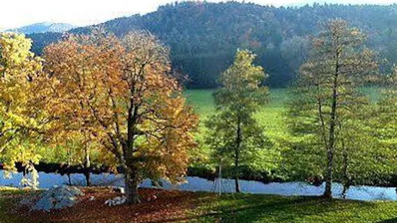 Logis Hotel Des Vosges | Grand Est - Haut-Rhin (bölge) - Sewen