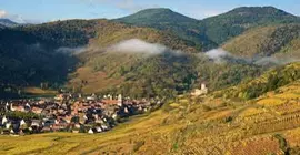 Le Chambard | Grand Est - Haut-Rhin (bölge) - Kaysersberg-Vignoble