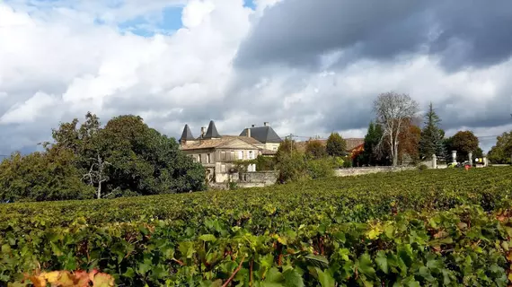 Chateau Fleur de Roques | Nouvelle-Aquitaine - Gironde (bölge) - Puisseguin