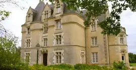 Château de Périgny | Nouvelle-Aquitaine - Vienne (bölge) - Vouille