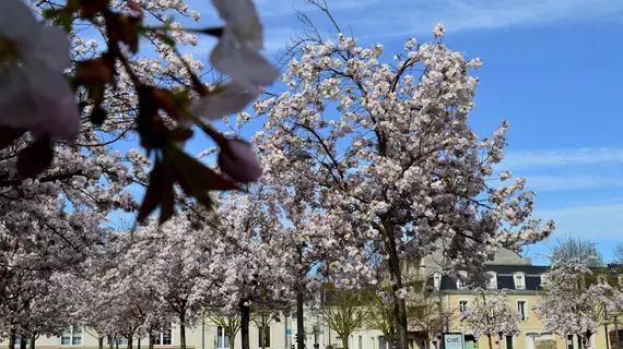 Hotel Rabelais | Centre - Loire Vadisi - Indre-et-Loire (bölge) - Tours