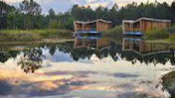 Les Echasses EcoLodge | Nouvelle-Aquitaine - Landes (bölge) - Saubion