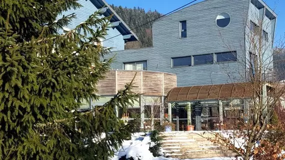 Hotel Les Sapins | Grand Est - Vosges (bölge) - Le Menil