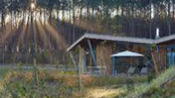 Les Echasses EcoLodge | Nouvelle-Aquitaine - Landes (bölge) - Saubion