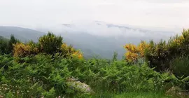 INATEL Vila Ruiva | Centro - Guarda Bölgesi - Fornos de Algodres