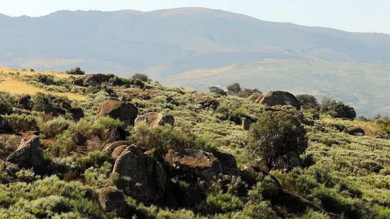 INATEL Vila Ruiva | Centro - Guarda Bölgesi - Fornos de Algodres