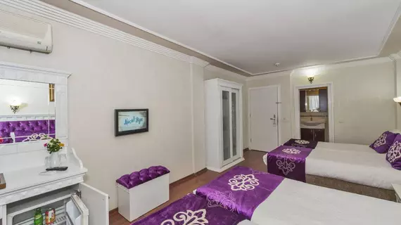 Istanbul Holiday Hotel |  Istanbul  - Fatih - Sultanahmet