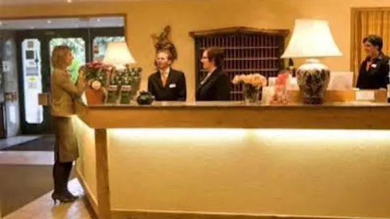 Hotel Am Sachsengang | Lower Austria (Aşağı Avusturya) - Gross-Enzersdorf