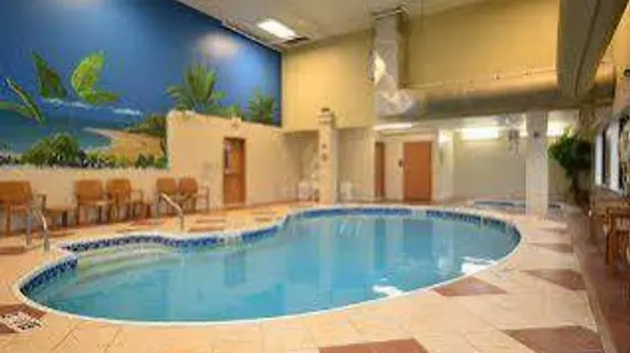 Comfort Inn and Suites | Missouri - Springfield (ve civarı) - Springfield