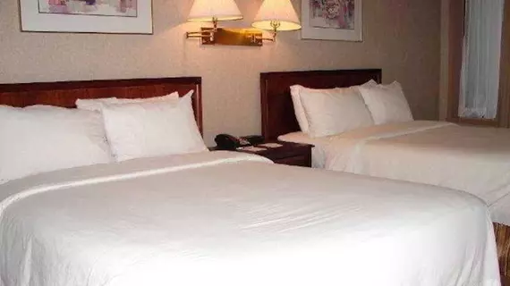 Best Western Plus Montreal Downtown- Hotel Europa | Quebec - Montreal (ve civarı) - Montreal - Golden Square Mile