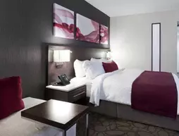 Delta Hotels by Marriott Montreal | Quebec - Montreal (ve civarı) - Montreal - Downtown Montreal