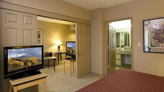 Sheraton Suites Houston Near the Galleria | Teksas - Houston (ve civarı) - Houston - The Galleria Alışveriş Merkezi